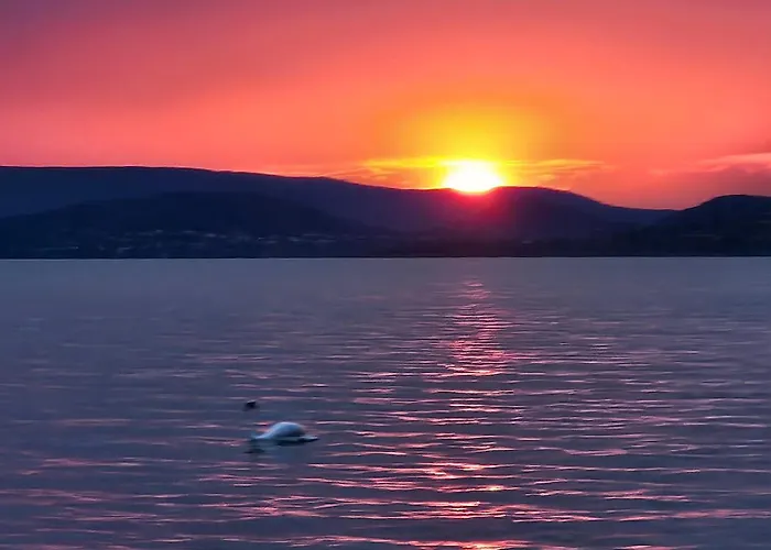 Case de vacanță 4seasons